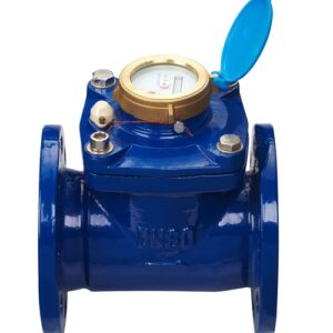 Water Meter LXLC-50E1-200E1