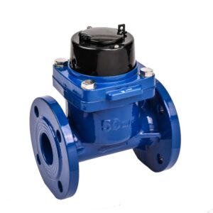 Water Meter LXLN-50E-300E