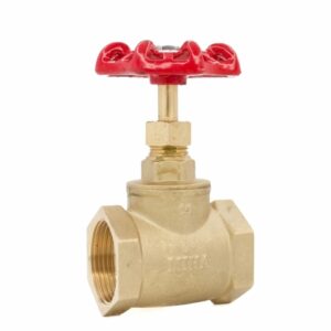 Brass Globe Valve